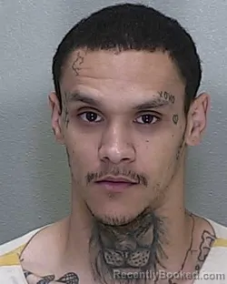 Mugshot of JOHNNY EUGNEN UNDERWOOD