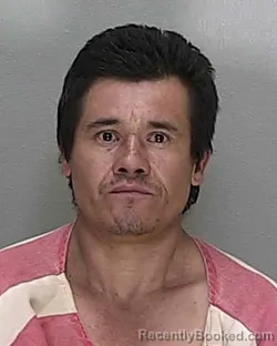 Mugshot of ROBERTO SIERRA GUTIERREZ