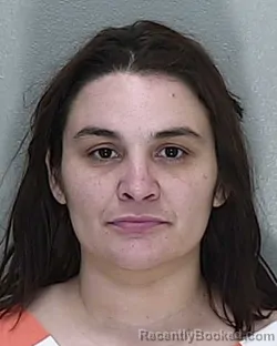 Mugshot of LINDSEY NICOLE HENRY