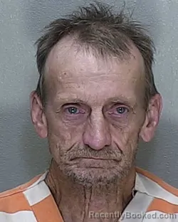 Mugshot of RONALD VELL GREEN