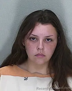 Mugshot of CHLOE PAIGE BREWSTER