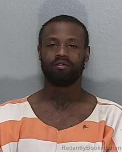 Mugshot of JAVARIS DONTRAIL LUEALLEN