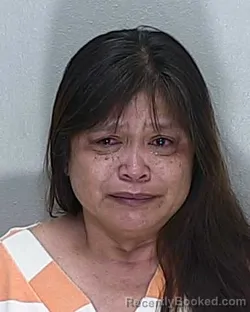 Mugshot of LILIBETH P JAMES