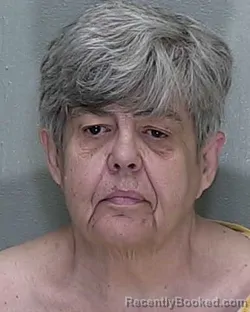 Mugshot of DEBORAH A MILLER