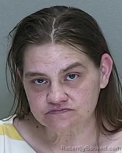 Mugshot of DANIELLE MICHELLE POLLINGER