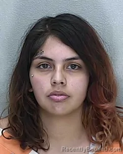 Mugshot of EVELIN MICHELL SOTO