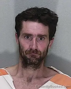 Mugshot of ASHLEY WARREN KING