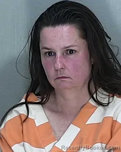 Mugshot of REBECCA LYNN ABBOTT