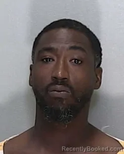 Mugshot of ANTHONY LENARD JOHNSON
