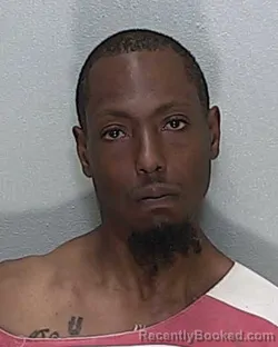 Mugshot of JAMIE ALLEN MAYS