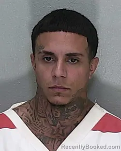 Mugshot of LUIS FRANCISCO AVILES