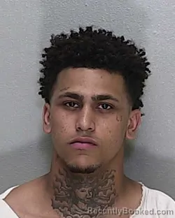 Mugshot of JAMES LENARD WHALEY JR