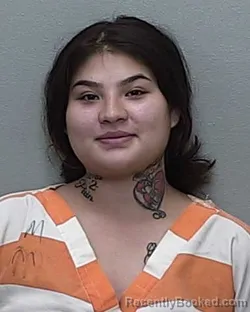 Mugshot of AIDSA HERNANDEZ TORRES