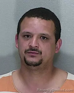 Mugshot of MARIO WILLIAM WATSON