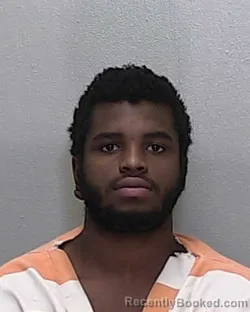 Mugshot of KHAMANI JAMES MITCHELL