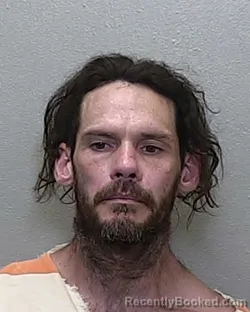 Mugshot of JARED CURTIS LAYTON