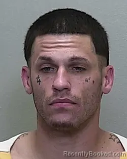 Mugshot of CODY MICHAEL ROMEO