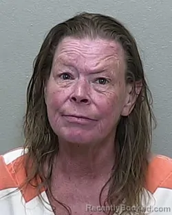 Mugshot of CYNTHIA ANN WESSINGER