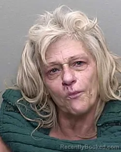 Mugshot of CAROL LYNN WALLACE