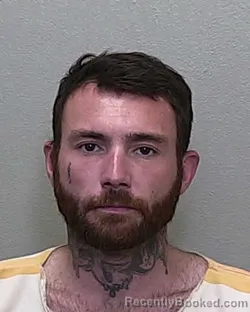 Mugshot of DONALD ROSS HOCKENBURY