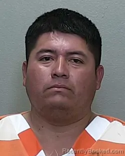Mugshot of RODNEY CRISTHIAN ALAVEZ ALCALA