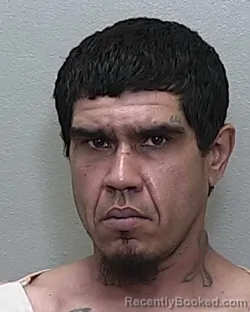 Mugshot of JOSE MIGUEL FONTANEZ COSME