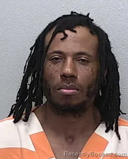 Mugshot of SHAWN ANTHONY KING