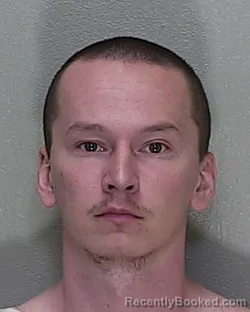 Mugshot of JEREMY PHILIP SCHINSE