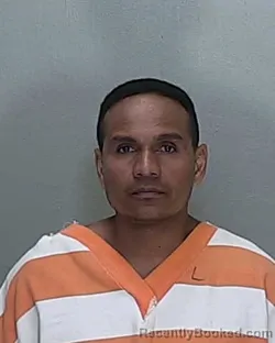 Mugshot of RONALD ALEXANDER RAMOS