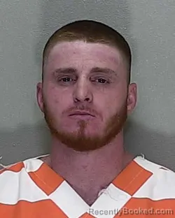 Mugshot of HUNTER GLEN DINGES