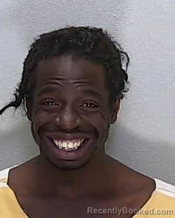 Mugshot of WILLIAM BRANDAN PEPPERS