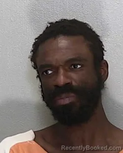 Mugshot of RUDOLPH VALENTINO ROBINSON