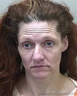 Mugshot of ERIN NICOLE HILL