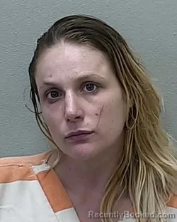 Mugshot of BRENDA LEE BARRETT