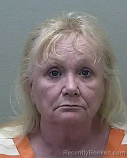 Mugshot of LAURA A BARRETT