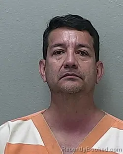 Mugshot of DAVID E PORTILLO