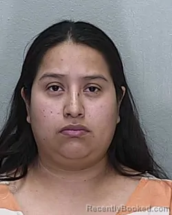 Mugshot of VIVIANA HARUMI ORTIZ LOPEZ