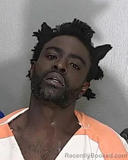 Mugshot of BRANDON LAMONT MILLER