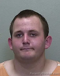 Mugshot of DAVID LEE EVERETT BOGGS JR