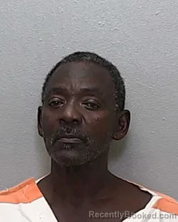 Mugshot of ULYSSES VAN LOWERY