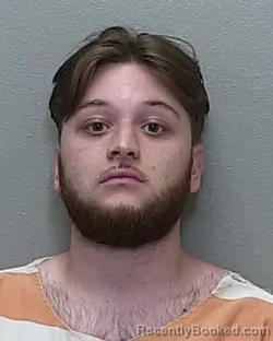 Mugshot of JONATHON CAMERON DIBBLE