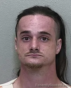 Mugshot of KEVIN MERRILL