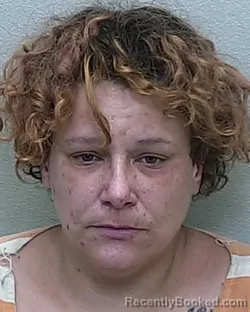 Mugshot of MINDI LEE CHAPMAN