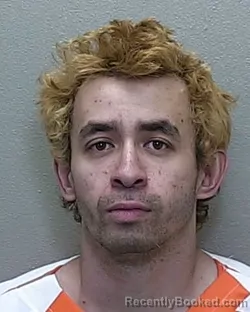 Mugshot of DAIKI LUKE UMEZAWA