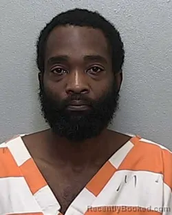 Mugshot of BRANDON LEONARDO TATEM