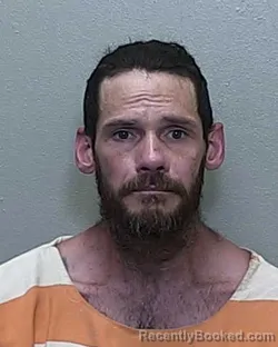 Mugshot of JARED CURTIS LAYTON
