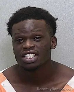 Mugshot of ADRIAN MILLER MILLER JR