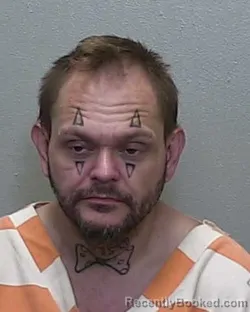 Mugshot of JOSEPH BRANDON SOUTH