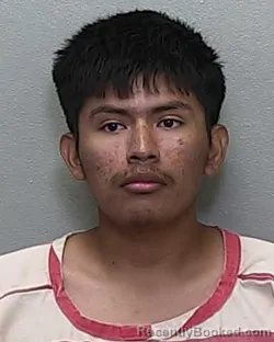 Mugshot of ROBERT HIRANI BAUTISTA-SANTIZO