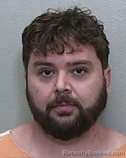 Mugshot of JORDAN EDWIN PEREZ